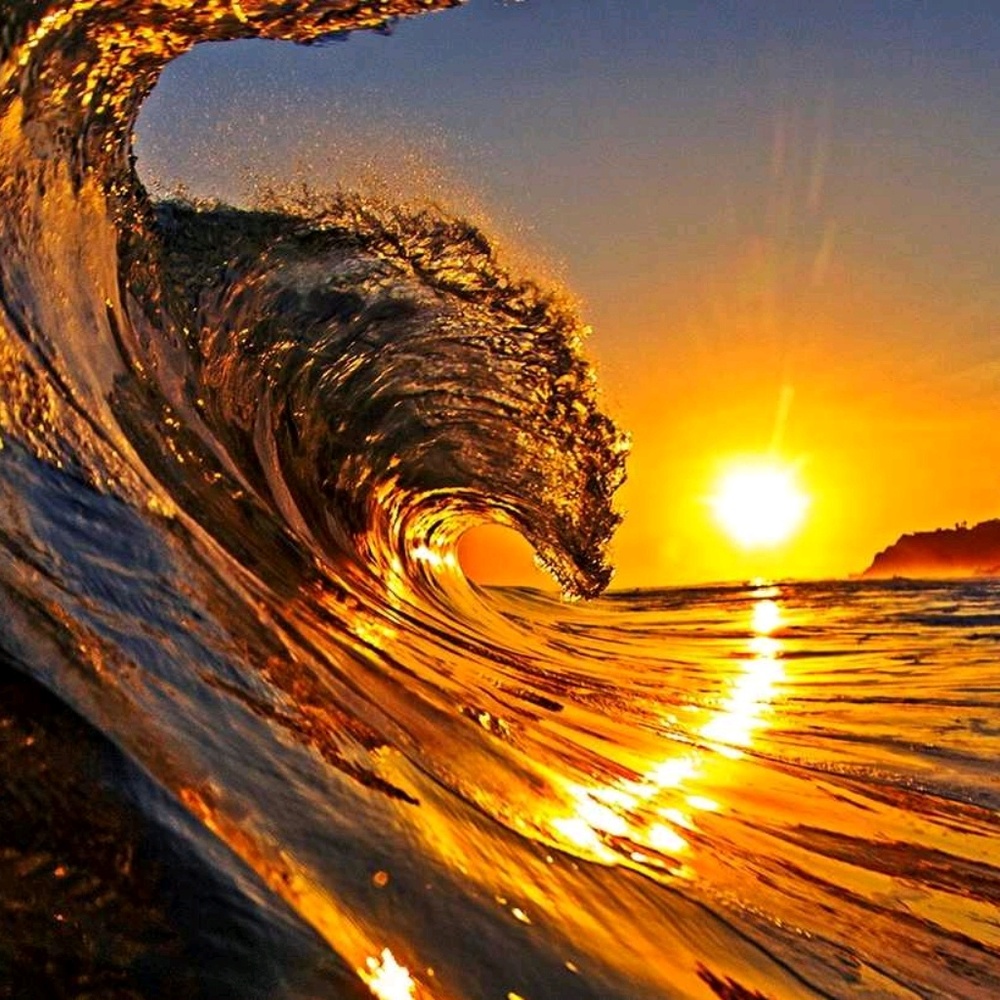 Meet your Posher, Monica